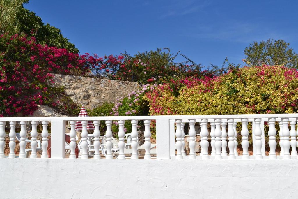 The Boliqueime Inn Ribeiro Номер фото